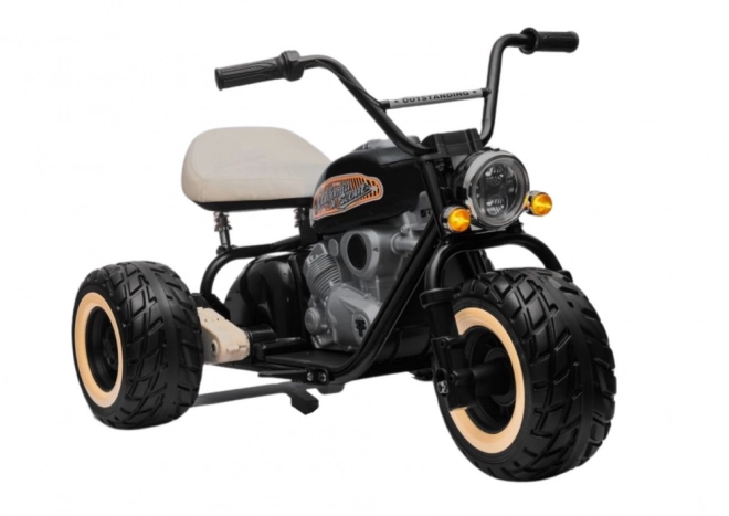 Kinder Dreirad mit Akku 24V