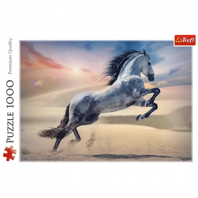 Majestätisches Pferd Puzzle 1000 Teile