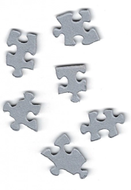 Eurographics Puzzle Seika 1000 Teile