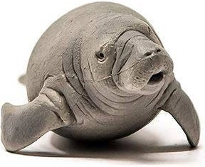 Kompakte Maße für einfache Handhabung