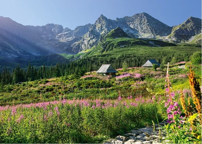 Puzzle Gąsienicowa Dolina Vysoké Tatry 1000 Teile