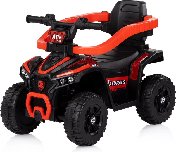 Sicherheitsbügel, Fußstützen und Rückenlehne