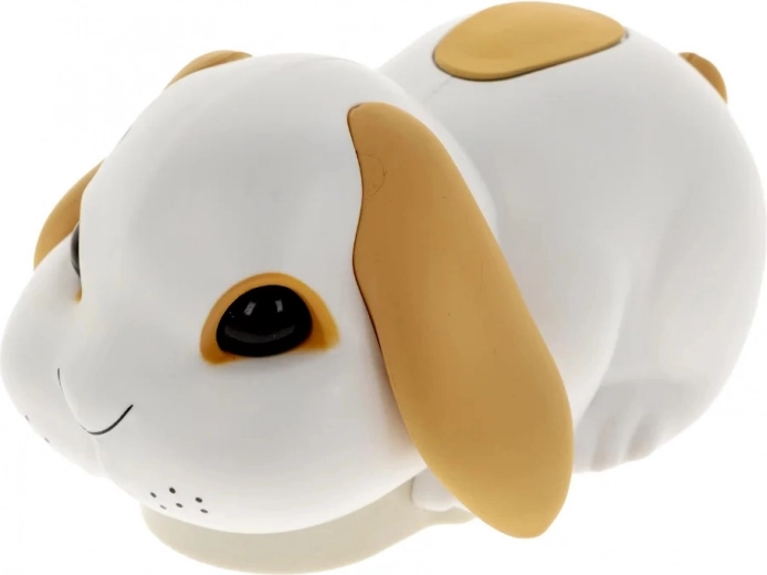 Ein quirliger Hase, der für Bewegung und Spaß sorgt