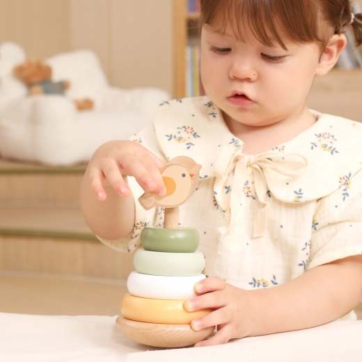 Fördert Motorik und logisches Denken