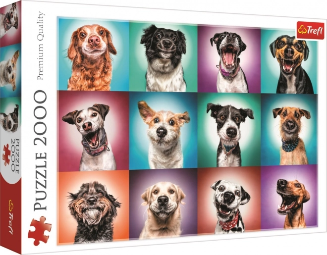 Lustige Hundefotografien Puzzle