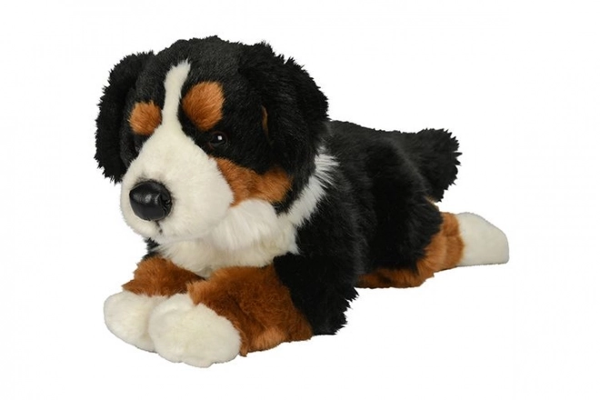 Plüsch Berner Sennenhund 40 cm