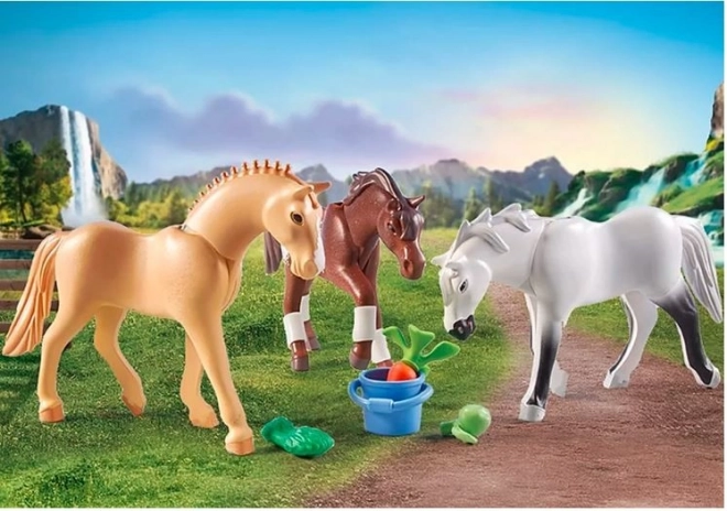 Spielset mit Pferdefiguren - Morgan, Quarter Horse und Angloarab