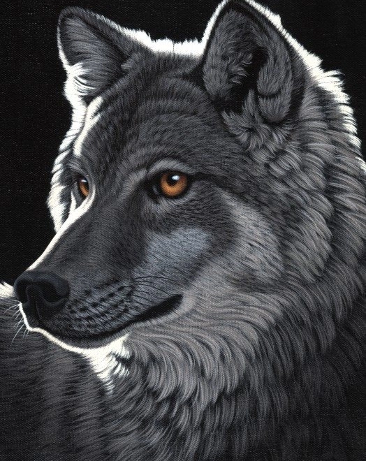Puzzle Nachtwolf 1000 Teile