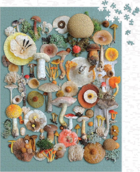 GALISON Puzzle Ernte 1000 Teile