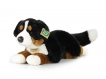 Plüsch Berner Sennenhund liegend 44 cm, umweltfreundlich