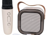 Karaoke-Set mit kabellosem Mikrofon und tragbarem Bluetooth-Lautsprecher mit RGB