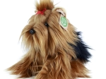 Plüschhund Yorkshire Terrier Eco Friendly