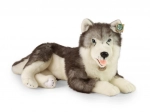 Plüsch-Husky liegend 60 cm ECO‑FRIENDLY von RAPPA