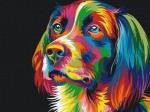 Malerei nach Zahlen - Hund in Farben