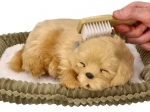 Adoptiere ein atmendes Golden-Retriever-Welpen