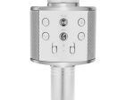 Bluetooth kabelloses Karaoke-Mikrofon mit integriertem Lautsprecher