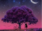 5D-Diamantmalerei – Baum, Set 30 × 30 cm