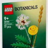 Lego Botanicals – Wiesenblumen