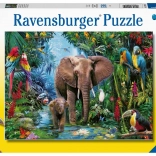 Ravensburger Puzzle Elefanten in der Oase 150 Teile