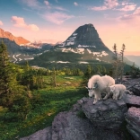 Ravensburger Puzzle Alpenziegen – 3000 Teile