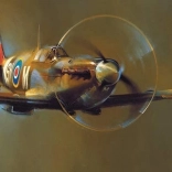 EUROGRAPHICS Panorama-Puzzle Spitfire – 1000 Teile