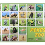 Pexeso ZOO Tierfotografien