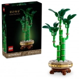 LEGO Botanicals Bambus Dracaena sanderiana 10344