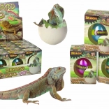 Magisches schlüpfendes Ei – wachsende Eidechse 6 cm