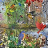 Puzzle Cobble Hill Vögel in den Jahreszeiten 1000 Teile