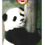 Buntstift-Set KOH-I-NOOR 12 Farben