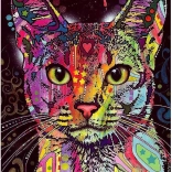 Puzzle 2000 Teile Abessinierkatze