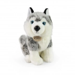 Plüsch Husky 30 cm Umweltfreundlich
