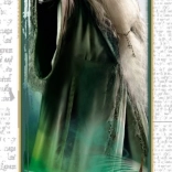 Puzzle Harry Potter Dumbledore 300 Teile