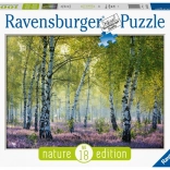 Puzzle Birkenwald 1000 Stk Ravensburger