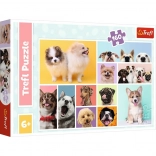Puzzle 160 Teile Hundefreundschaft