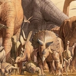 Panoramapuzzle Dinosaurier 1000 Teile