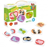 Alexander Entdecken für die Kleinsten – Halbierte Kärtchen