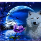 Diamantmalerei Mohnblume 30 × 40 cm