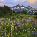 Puzzle 2000 Teile - Tatoosh-Gebirge