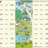 Larsen Puzzle Englisch: Im Wald 54 Teile