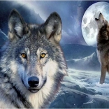 Diamantmalerei – Wolfs-Vollmond 30 × 40 cm