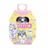 Niedliches Husky-Welpe von Pamper Petz