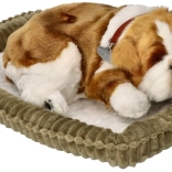 Atmendes Bulldoggen-Welpe