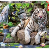 Puzzle Weiße Tiger 1000 Stk.