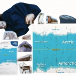 Just Jigsaws Polarregionen und ihre Tiere – Holzpuzzle, 16 Teile und 10 Tiere