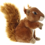 Plüsch-Eichhörnchen 20 cm