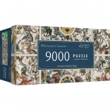Puzzle 9000 Stk. Alte Himmelskarten