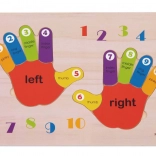 Holzpuzzle Hände – Zahlen, Farben und Rechts/Links lernen von TOOKY TOY