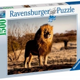 Puzzle 1500 Teile Löwe