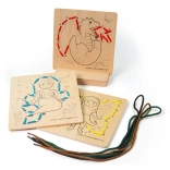 Bigjigs Toys Fädelspiel nach Zahlen – Märchen